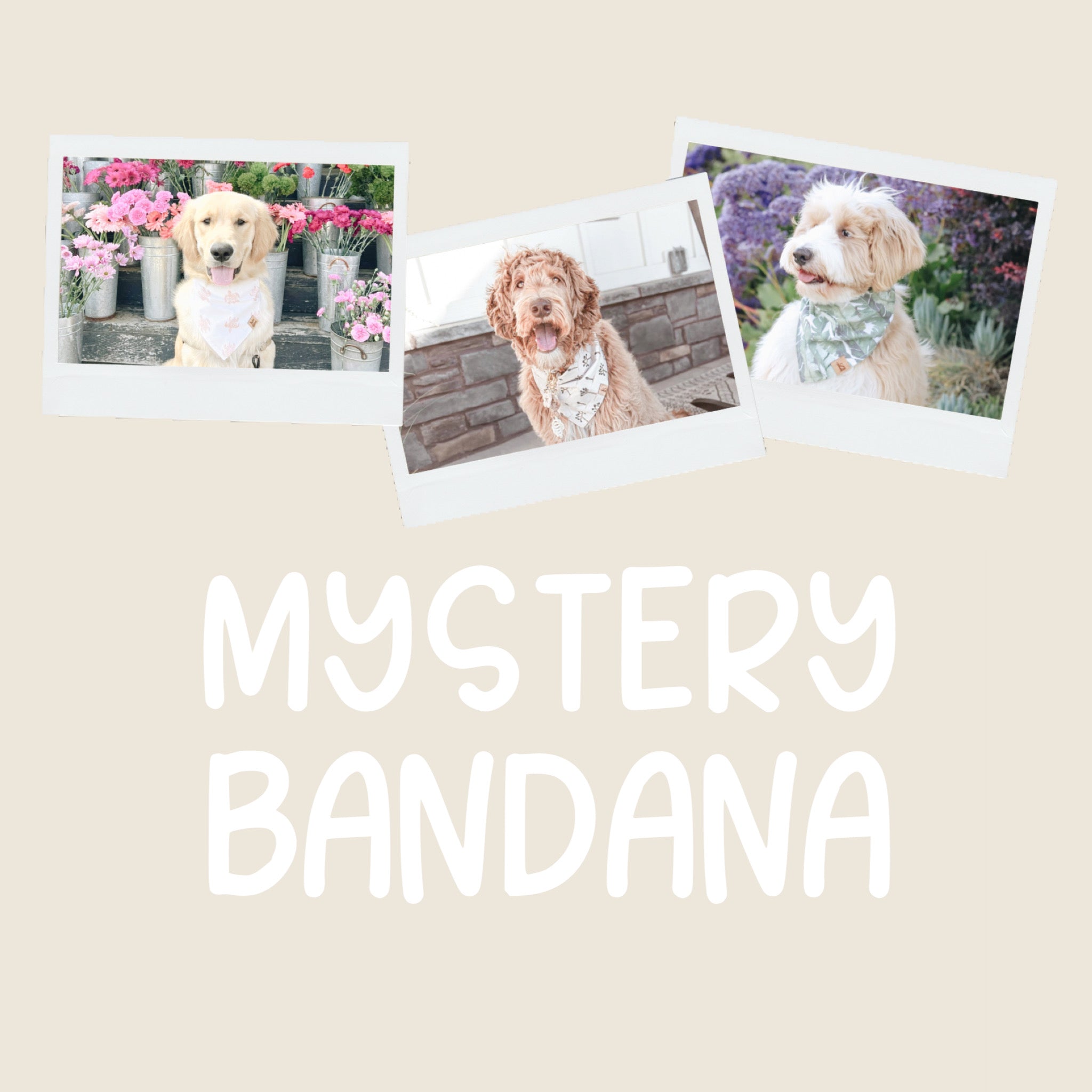mystery bandana